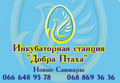IS "Dobra Ptaha"